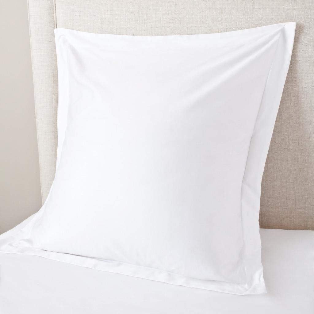 European Size Pillowcase 24x24 High Thread Count Cotton Decorative Cushion 2-Pack