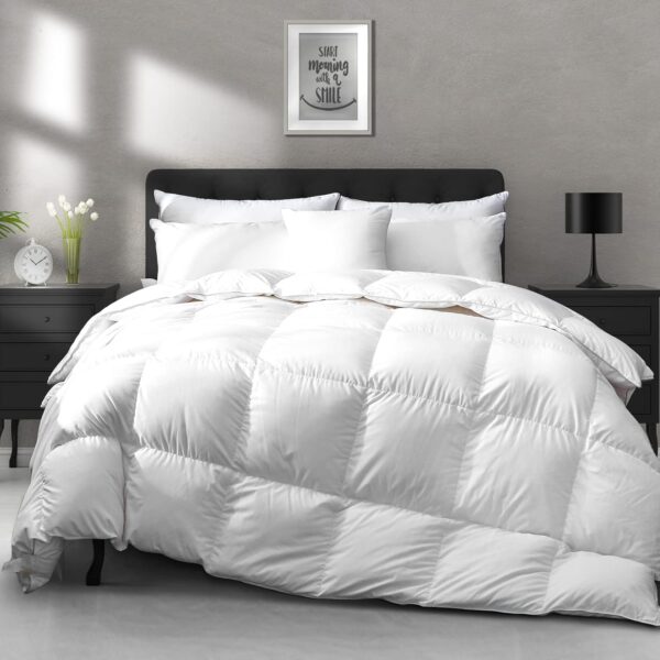 Luxury Down Fiber Comforter Organic Cotton All Season Bedding