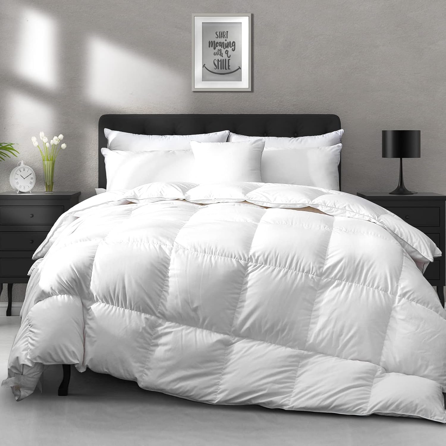 Luxury Down Fiber Comforter Organic Cotton All Season Bedding